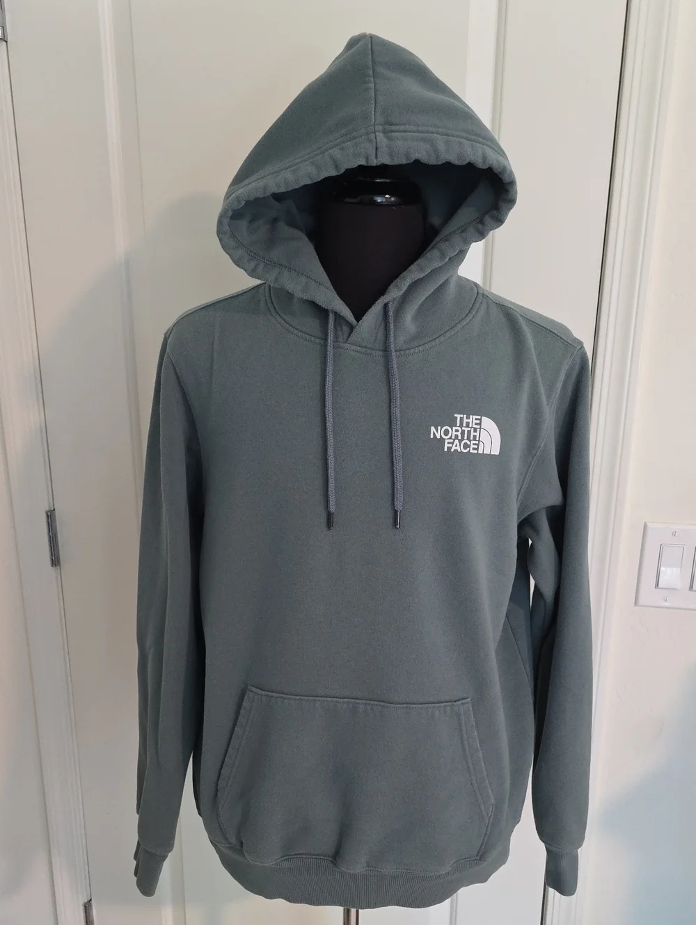 The North Face Men's Hooded Sweatshirt in Slate Green